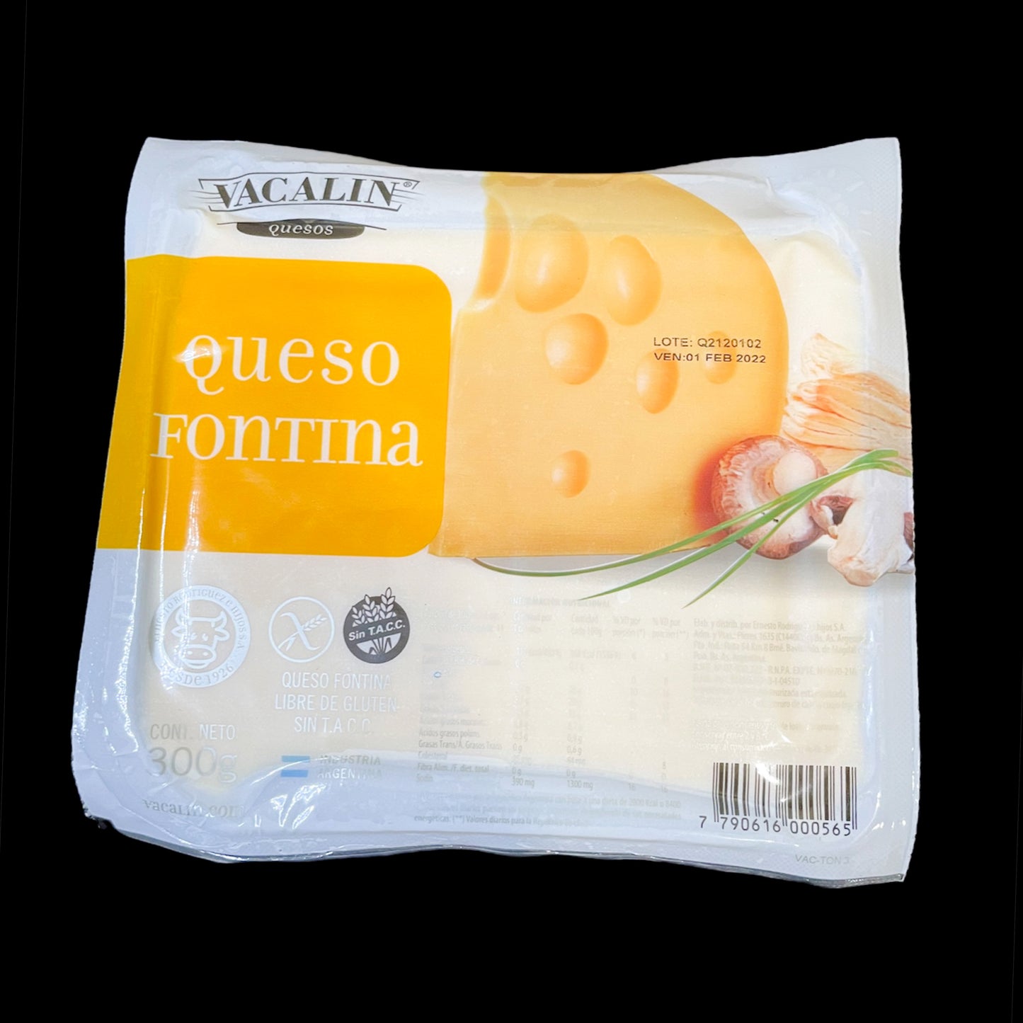 Queso Fontina x 300g