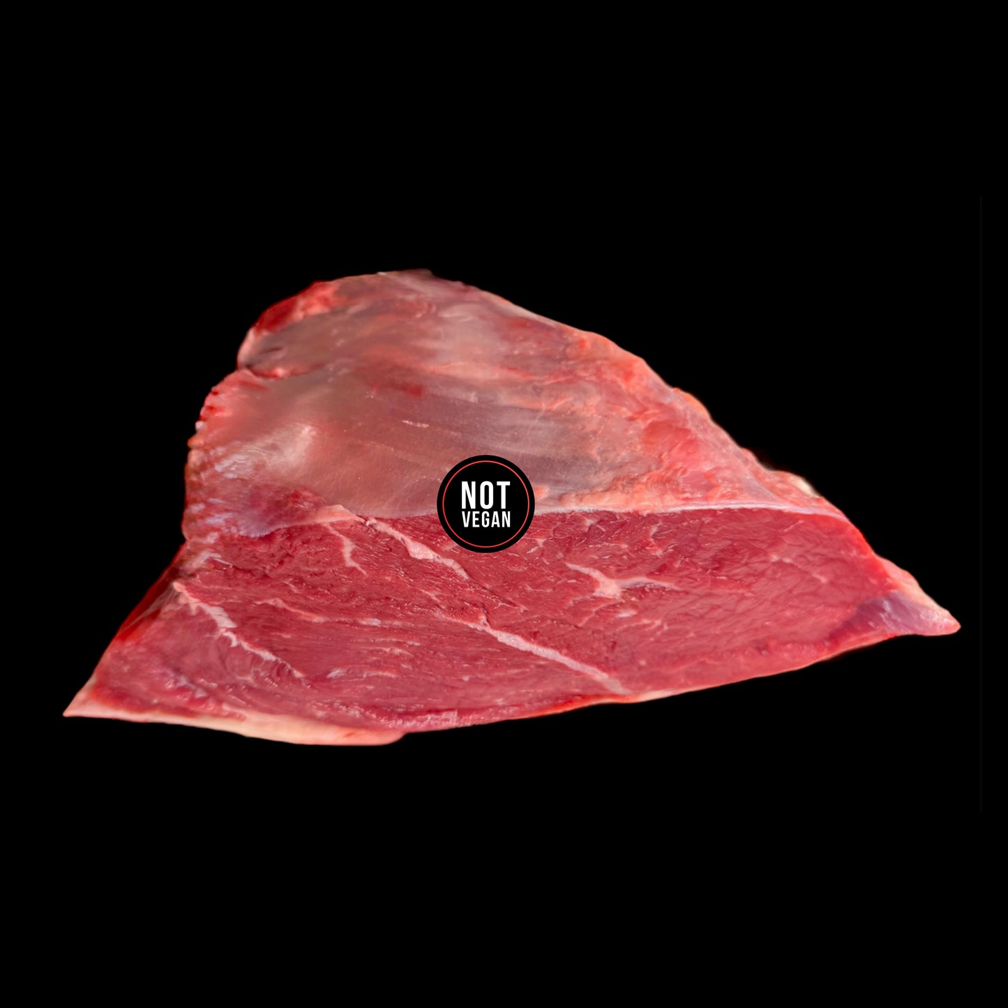 Paleta