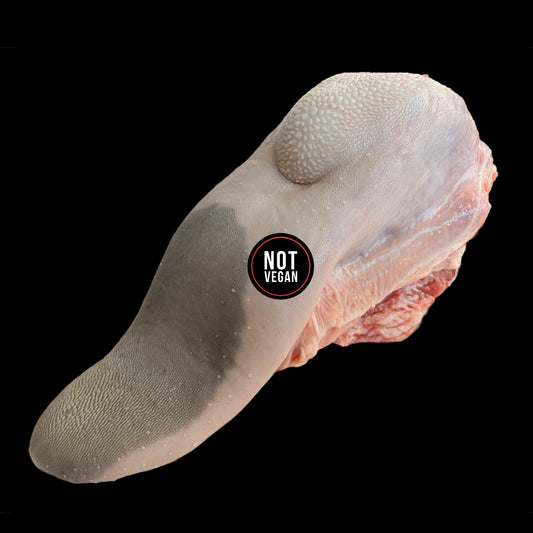 Lengua